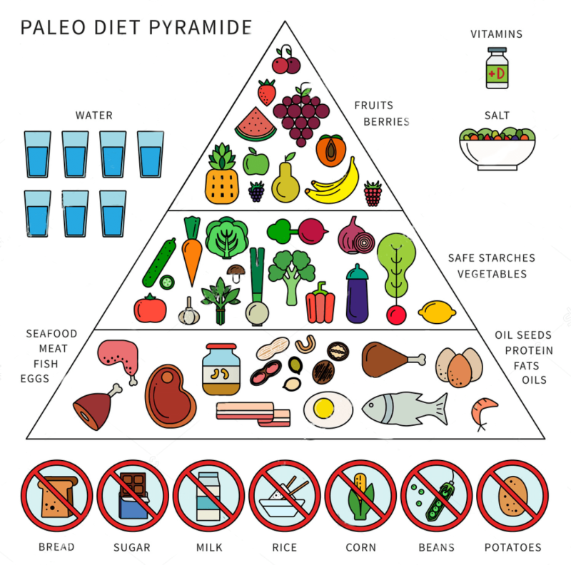 Продуктовая пирамида палео диеты