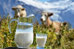 Польза молока при гипертонии