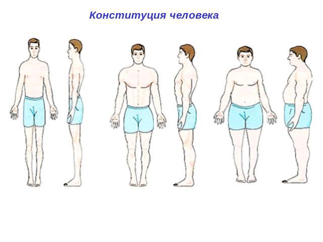 Соотношение веса и роста у мужчин