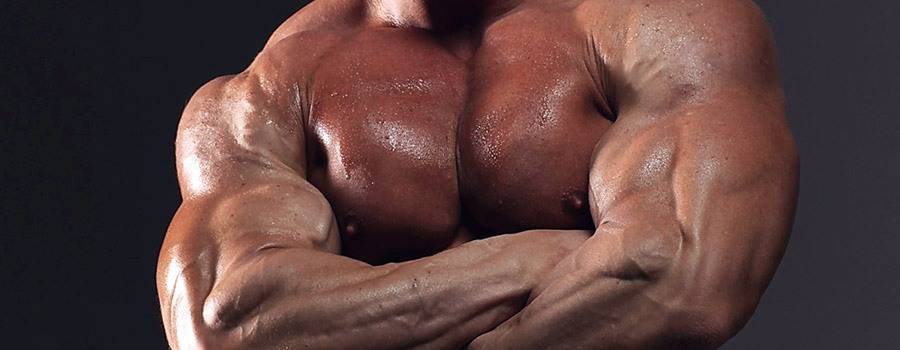 Как накачать верхнюю часть грудных мышц? Упражнения и тренировка