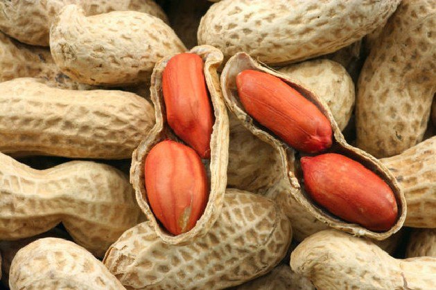 Польза арахиса для организма