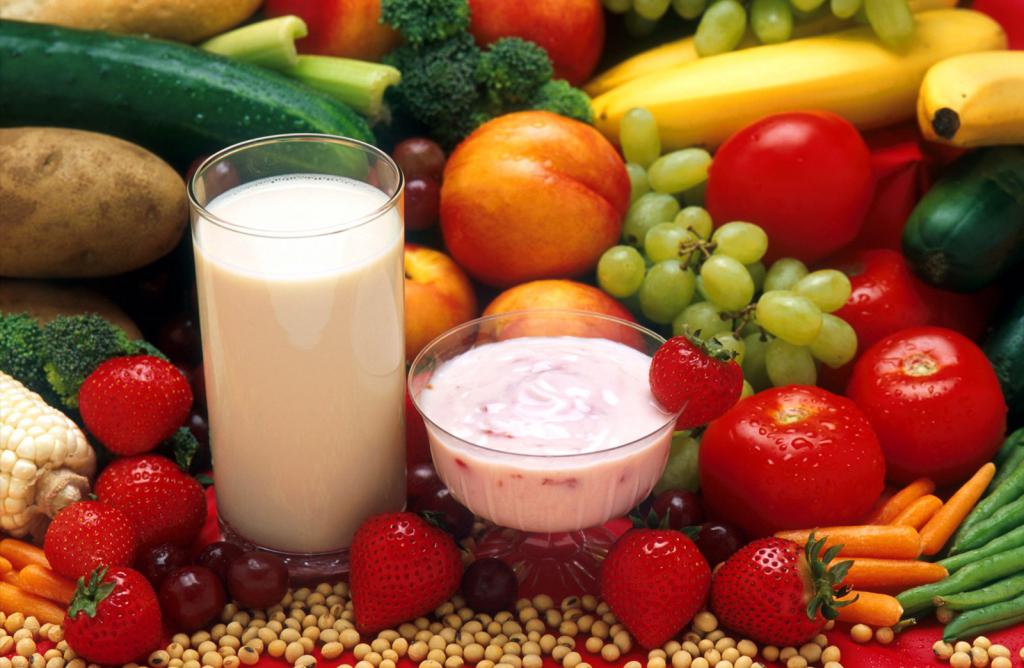 белково-фруктовая диета