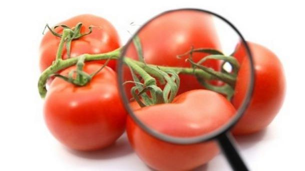 помидорная диета для похудения отзывы