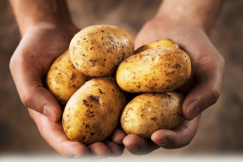 Отзывы о картофельной диеты