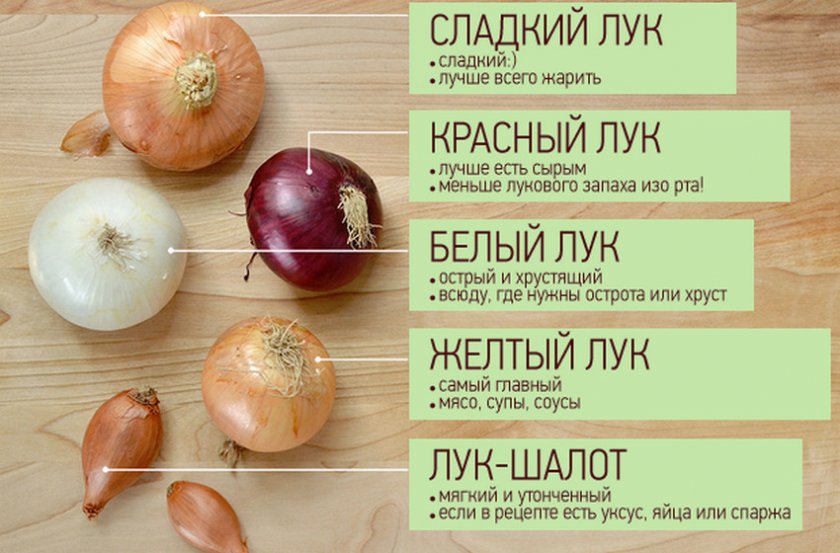 Виды лука