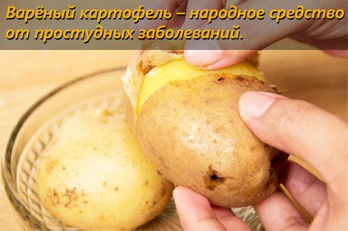 Сколько калорий в картофеле. Картофель варёный