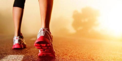 Сколько калорий сжигается при ходьбе 20 км. Сколько калорий тратится при ходьбе пешком