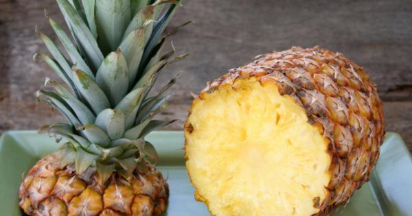как вырастить ананас дома