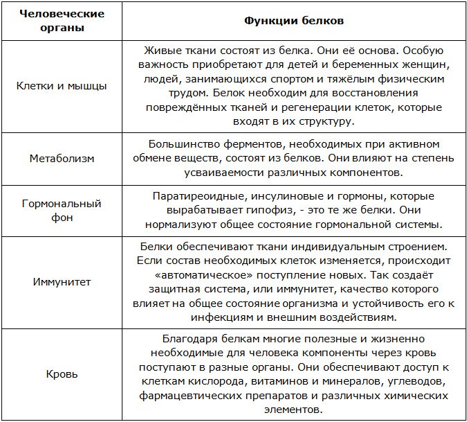 Белковые продукты для похудения