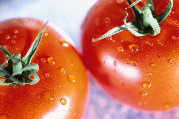 можно ли есть помидоры вечером при похудении