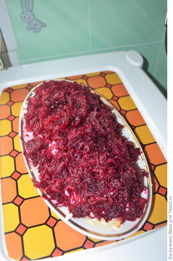 селёдка под шубой