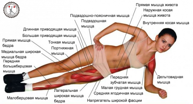 как убрать бока и живот за неделю в домашних условиях