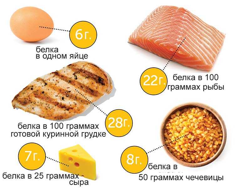 Полезные белковые продукты