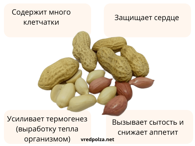 Польза жареного арахиса