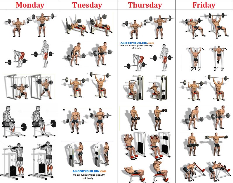 Plan de entrenamiento para volumen muscular