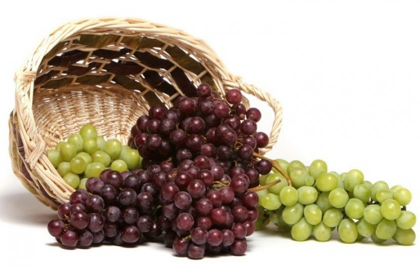 виноград польза при похудении