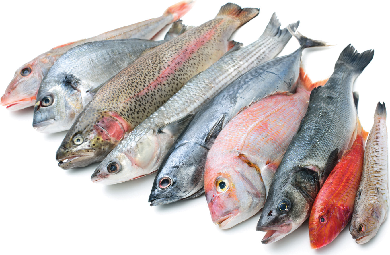 Сокращения, используемые в прайсах на рыбу и морепродукты