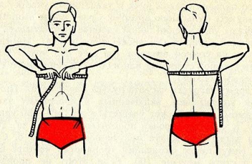 Как померить обхват грудной клетки. Алгоритм измерений