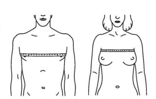 От чего зависит объем грудной клетки. Измерение параметров грудной клетки у мужчин и женщин культуристов
