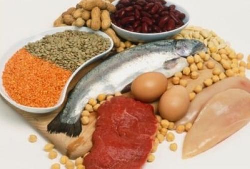 Продукты с высоким содержанием белка. Самые белковые продукты: в каких продуктах очень много белка?