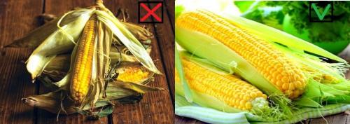 С чем можно есть кукурузу. 5 простых советов. Как выбирать кукурузу