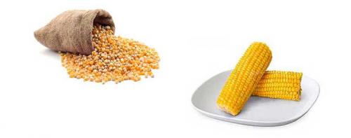 Кукуруза калорийность. Диетические свойства: