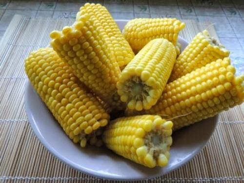 Вареная кукуруза польза. Польза вареной кукурузы в початке