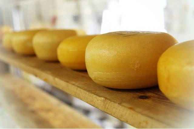Сыр витамины и минералы