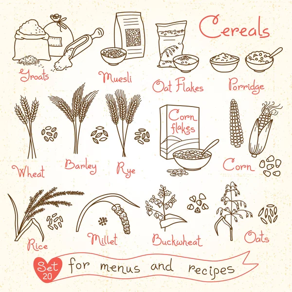 Set drawings of cereals for design menus, recipes and packing. Flakes, groats, porridge, muesli, cornflakes, oat, rye, wheat, barley, millet, buckwheat, rice, corn Stock Vector