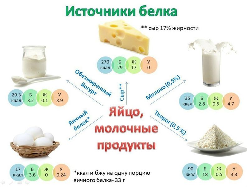 Яйца и молочные продукты как источник белка