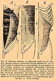 Brockhaus and Efron Encyclopedic Dictionary b8 798-0.jpg