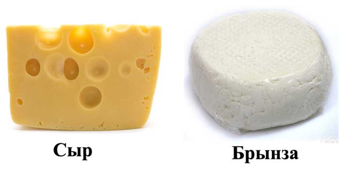 Сыр и брынза