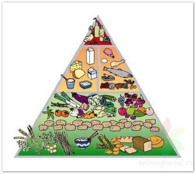 Пищевая пирамида СИНДИ