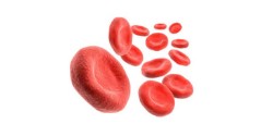 Диета при высоком гемоглобине: как повлиять на кровь?