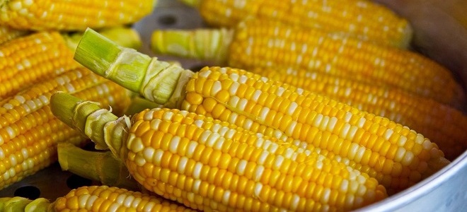 можно ли есть вареную кукурузу на диете