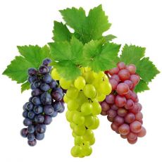 виноград при диете