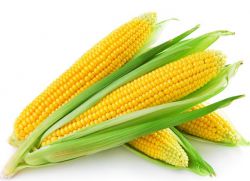 можно ли поправиться от кукурузы