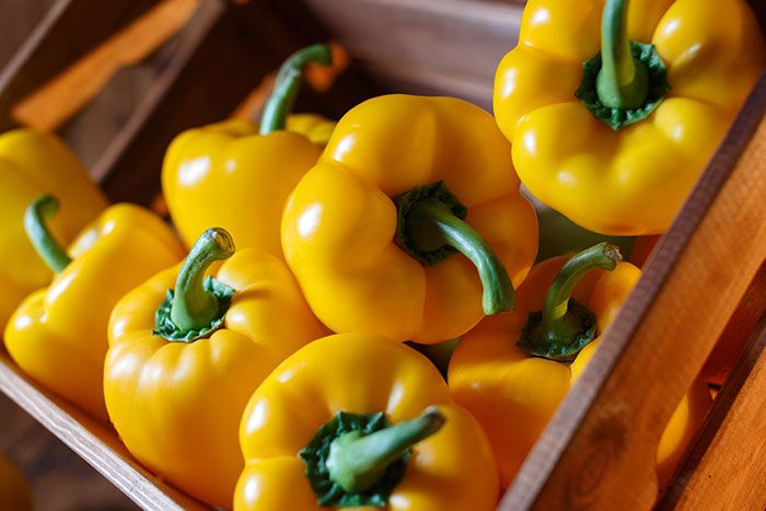 yellow-bell-peppers