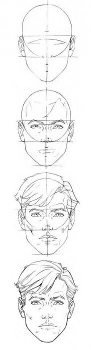 пропорции лица человека схема рисования