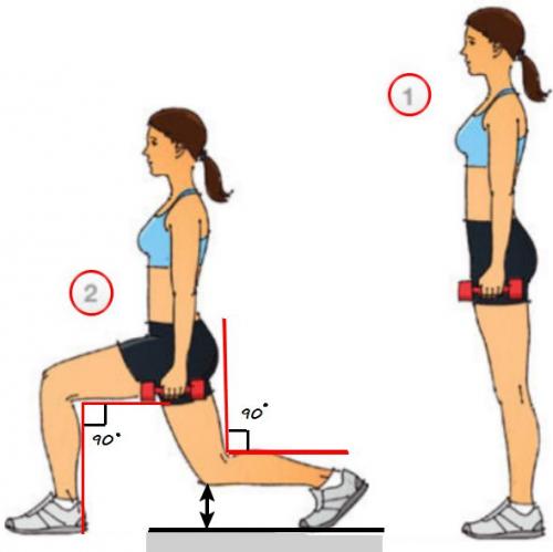 Комплекс упражнений для похудения в тренажерном зале для женщи.  Тренажерный зал: программа тренировок для женщин