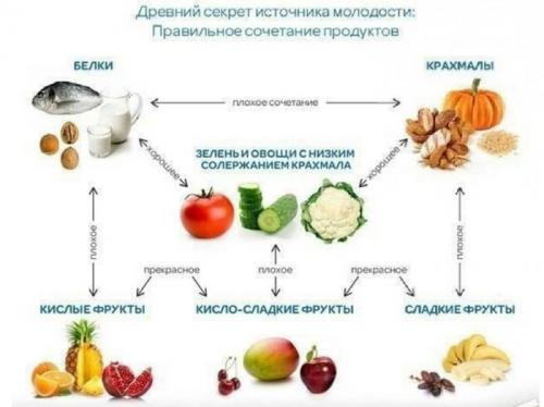 Диета раздельного питания минус 8-10 кг. Суть раздельного питания по Шелтону