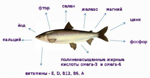 Рыба жареная при диабете. Какую рыбку нельзя?