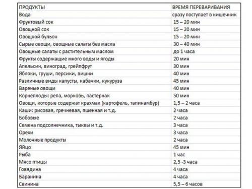 Нахождение пищи в желудке по времени. Время переваривания пищи в желудке.