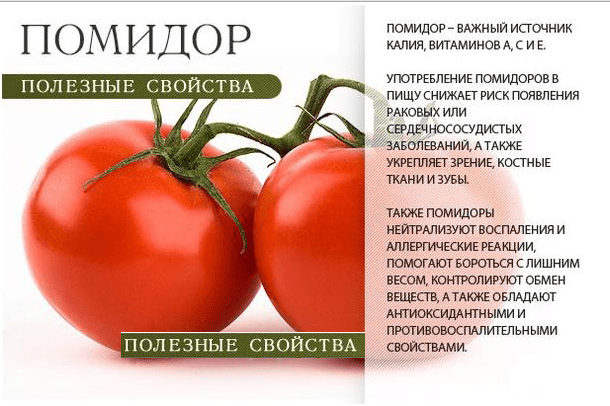 Можно ли от помидоров поправиться – можно ли поправится от помидор? если например после шести сьесть пару-тройку помидор?