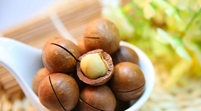 Орехи макадамия польза – полезные свойства и противопоказания для организма человека, в чем польза и вред скорлупы австралийского королевского орешка, почему нельзя много?