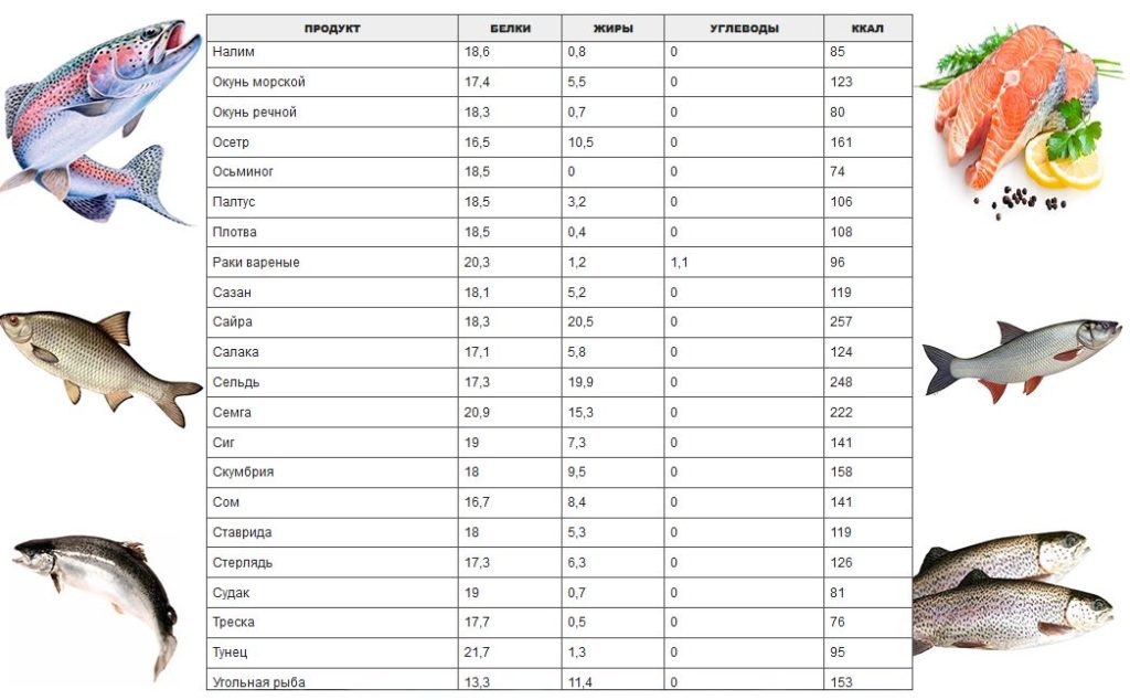 Рыба соленая калорийность на 100 грамм – Калорийность рыбы: сколько калорий в сушеной, слабосоленой, копченой, красной, рыбе, морепродуктах, таблица